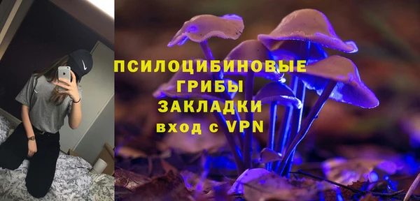 амф Алексин